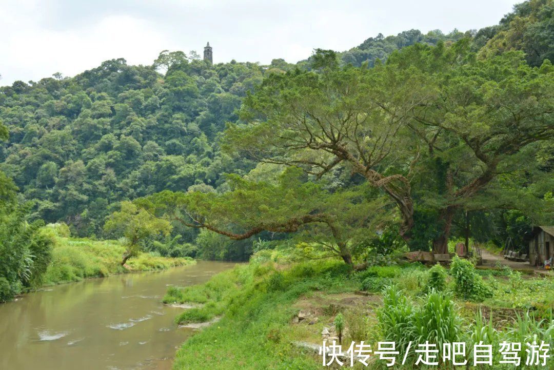 康熙年间|500多年历史的长寿古村，藏在中国第四个“世界长寿乡”中