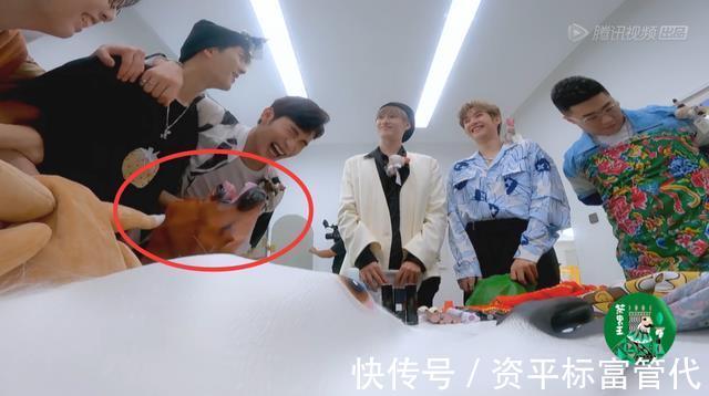 李雪琴|《拜托了7》口碑崩盘,安排王嘉尔趴地上当马,粉丝要求下架正片