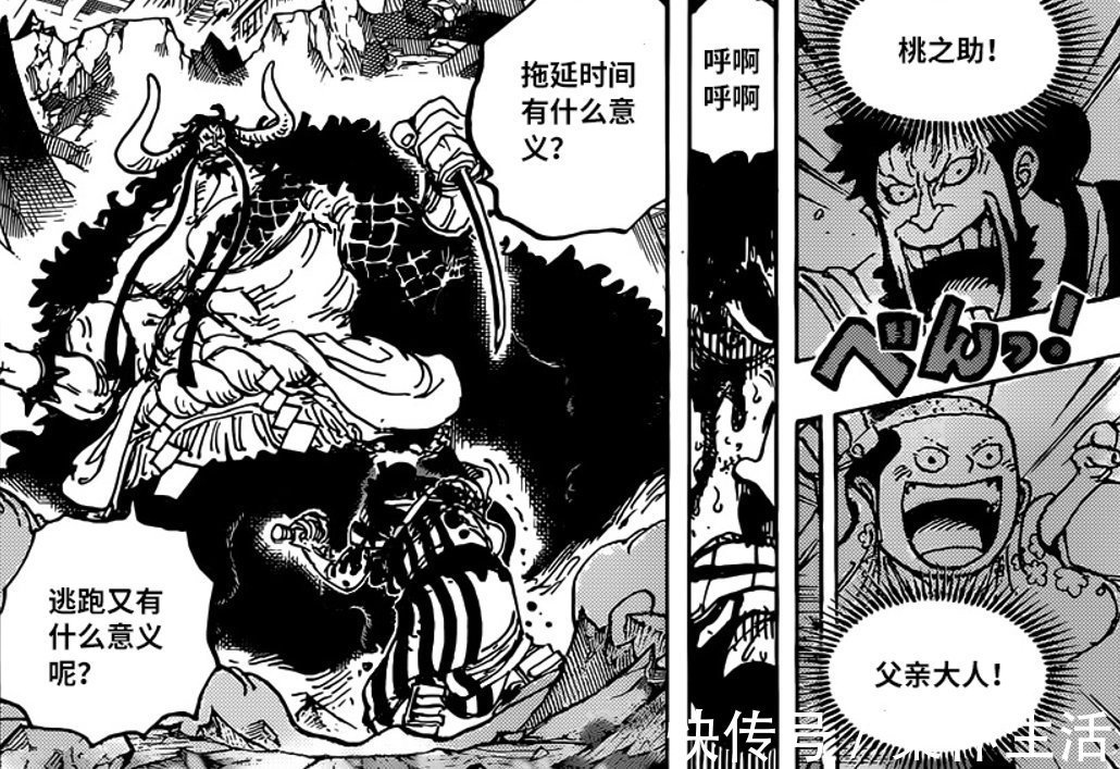 凯多|海贼王:尾田暗示锦卫门牺牲的下场,他的死将会让桃之助彻底爆发