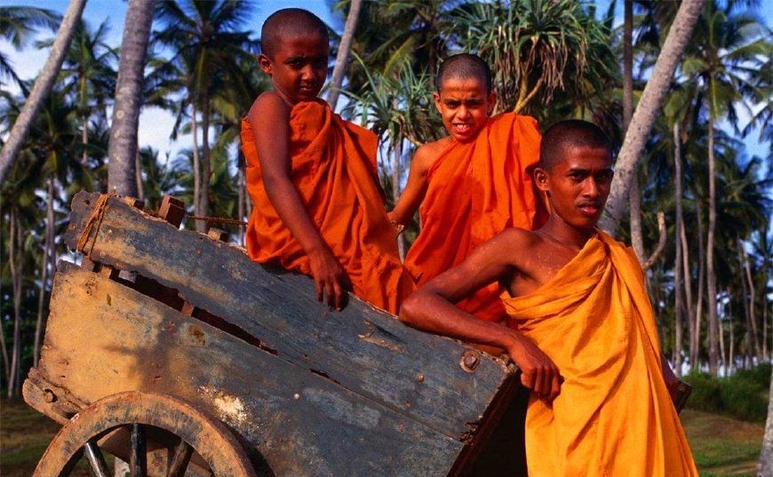 独特|外国王子到中国逃难,在中国生根发芽,还因此产生一独特姓氏