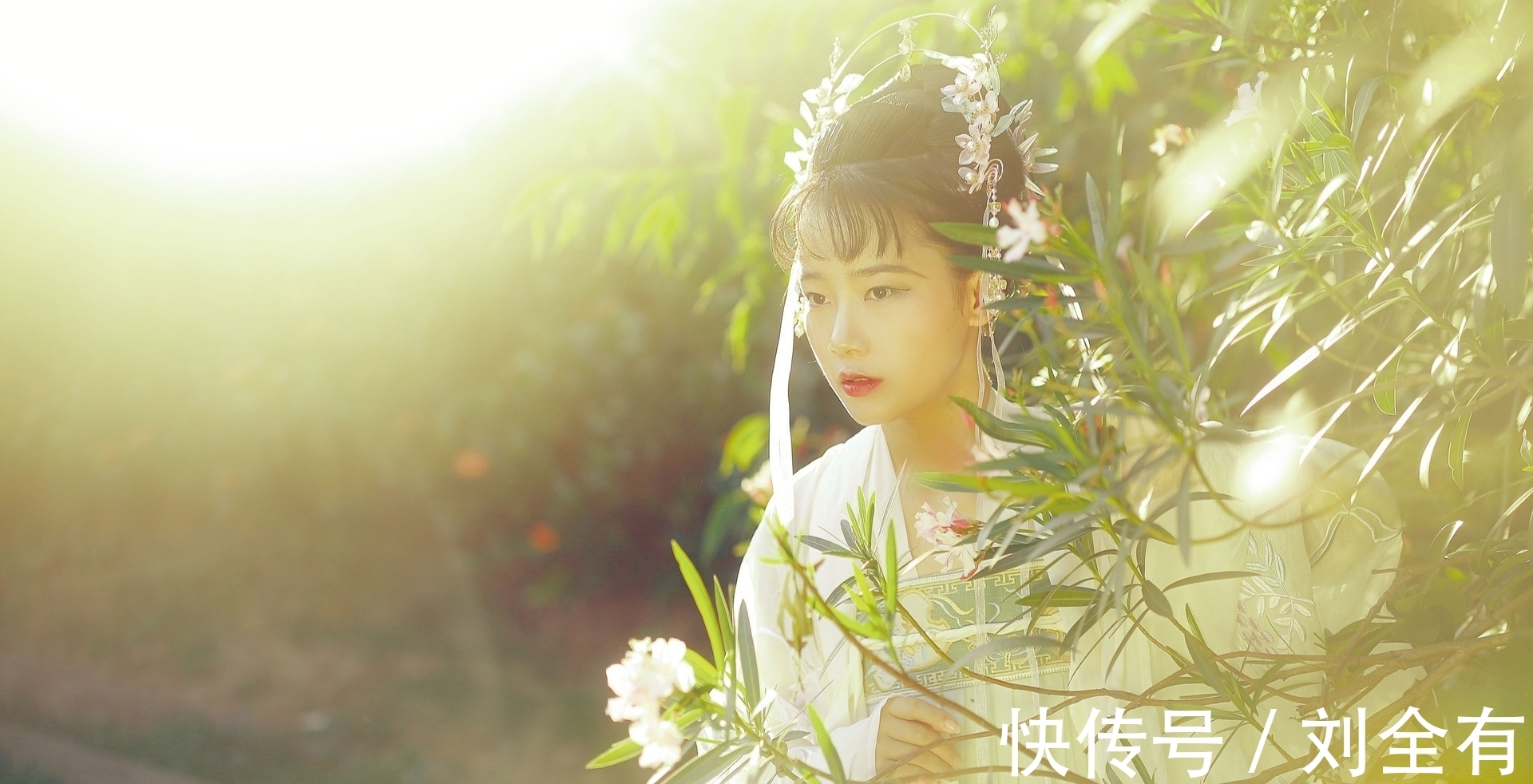 莫奈何|诗·十首丨不随夜雪无穷落,只看梅枝别样红