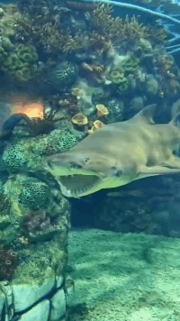 阿姨|“健身房阿姨的手臂都快45了...”