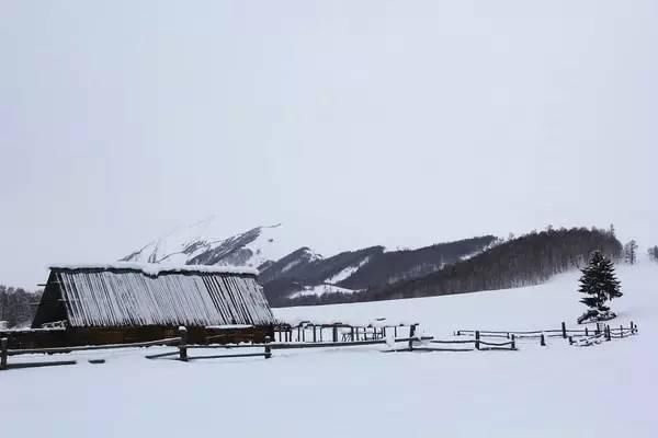 神话里|如果东北的雪景是童话，那北疆的雪景便是神话！