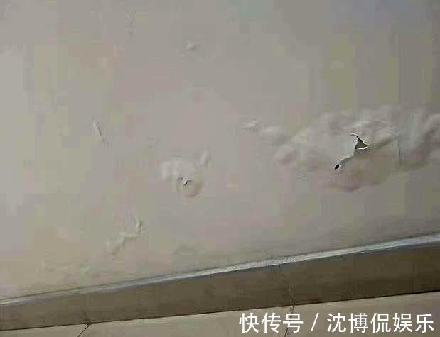 晾干|秋季墙面怎么保养3种常见“症状”,对症下药巧上家居美容课