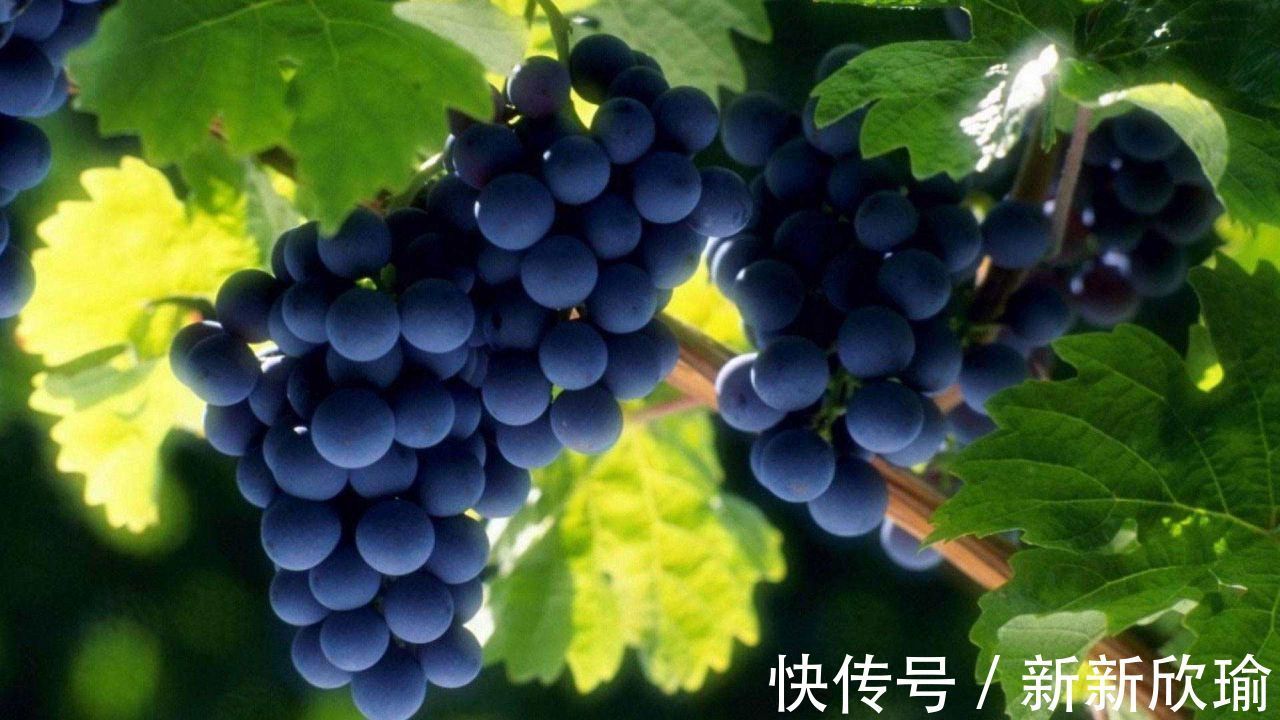 食物|女人不想绝经来得早，经常吃3种食物，或许有帮助