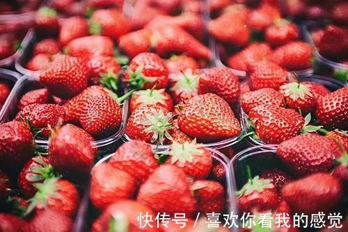 奶奶|“奶奶，我想吃草莓”冬天草莓50元一斤，家长该不该给孩子买？