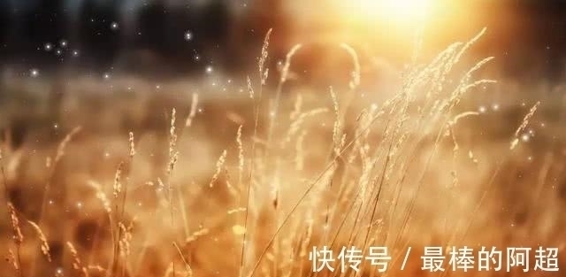 语录#尼采精华语录摘选:我们必须从尊敬一事无成的自己开始