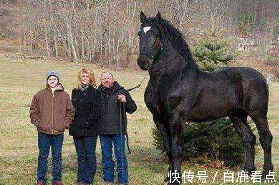 电影中的巨型异类真实存在? 让人不寒而栗