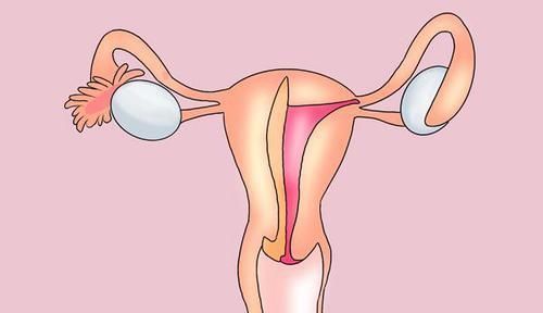 医生|体检时,报告单上查出4种疾病,先别担心,医生认为不是大事