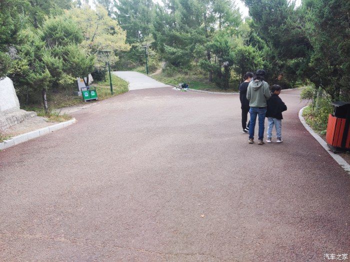 松鼠|逛逛北山公园，偶遇松鼠军团