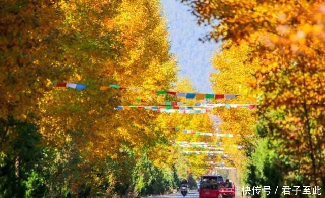 朋友|太撩人了！凉山人的朋友圈里，藏着最美清秋！