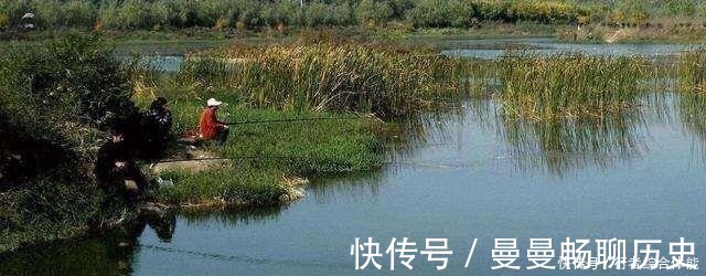 水草|老话讲“钓鱼要钓草,不然要白跑”!但这4种水草钓也白跑