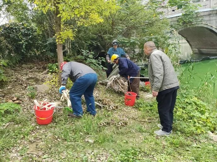 守护母亲河，我们这样做...|扮靓美丽河湖 | 梁溪河