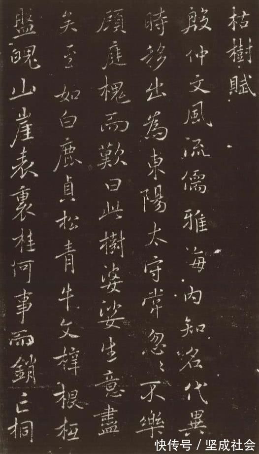 墨迹&72岁的董其昌,临写褚遂良行书《枯树赋》,有种空灵的美