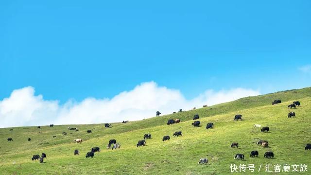 “景如画、梵如音”，低调又迷人的甘南美出圈了！