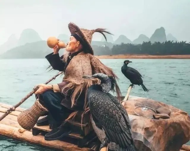 为啥|俗语“头鸡二狗、三猪四羊、五牛六马、七人八谷”,为啥这样说