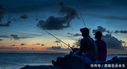 钓竿|夜钓最好的机会来了!18条经验助你成功爆护!