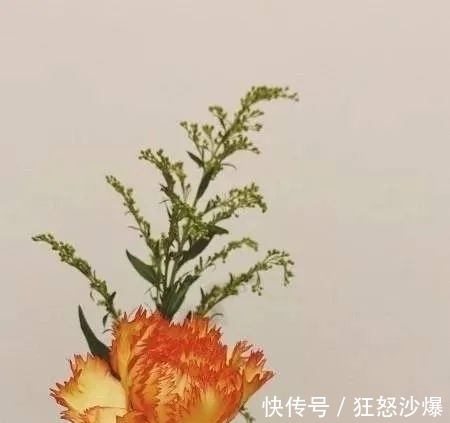 桃花运|下个月内，缘分桃花情投意合，美好姻缘一线牵的4大生肖！