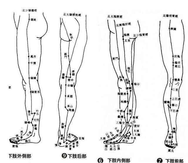  实用|人体经络穴位治百病，很全，很实用，先收藏了吧！