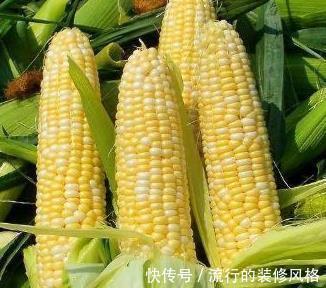 维生素b1|吃玉米对身体有几大好处,以下2类人不适宜吃,现在知道还不晚