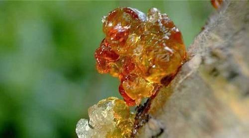 蔓越莓干|子宫肌瘤缠身不要慌，女人每天吃点“它”，让肌瘤慢慢远离你