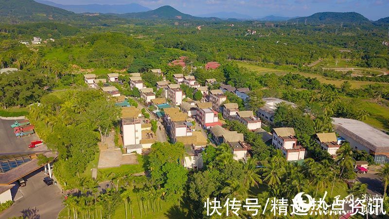 景区|航拍村企合作谋振兴 黎族村寨变景区