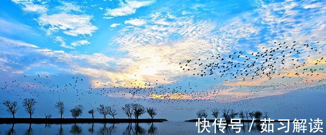 中秋@张孝祥途经洞庭湖写下一首词,词意与美景融为一体,读来美不胜收