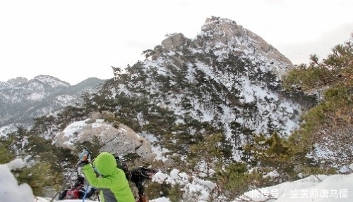 寻找|过雪山，寻找那片让人心醉的杉树林