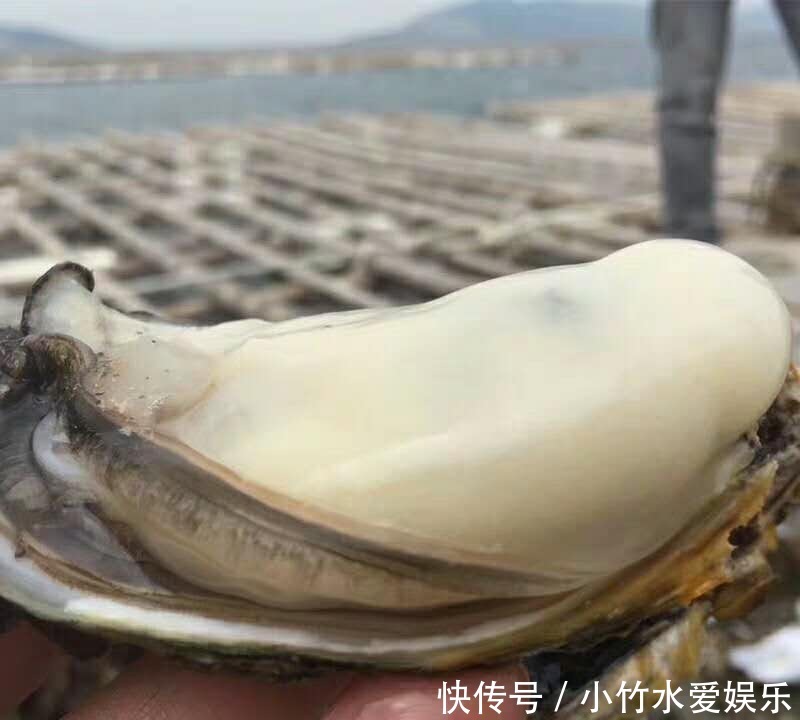 营养|家里再穷,“咬咬牙”也要给孩子吃这些食物,好吃不贵益处多