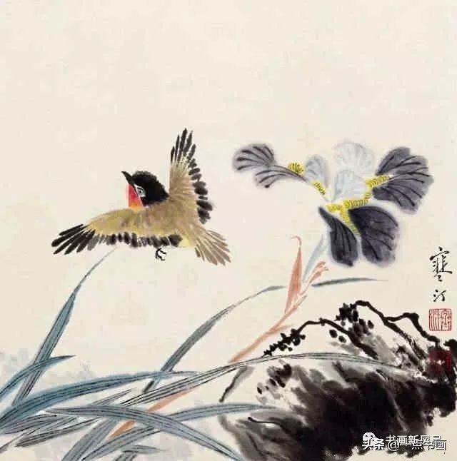 花鸟画@江寒汀 笔下的飞鸟30幅,不愧当代海派花鸟画第一人