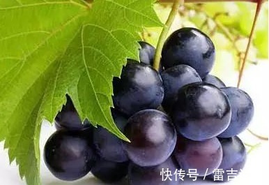 柠檬皮|4种食物难吃却养人,咬着牙也要吃下去!