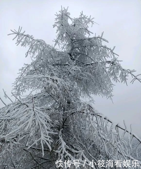 玩雪|绵阳最近的玩雪地，北川擂禹路“ 数千人”玩雪！