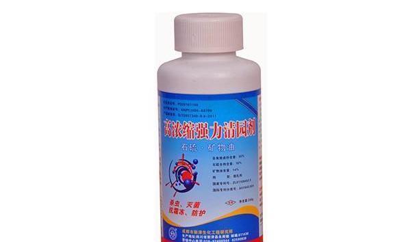 叶片|月季养不活？教你避开种死月季的五个陷阱，不走弯路做月季大神