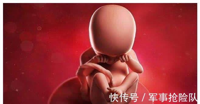 胎盘|怀孕时好奇胎儿发育情况?参考这三个指标,看看你都符合吗?