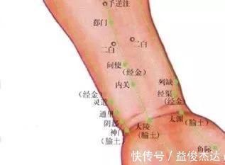 中渎穴|调理手颤、手麻、脚麻、面部神经麻痹，它们是立竿见影的必调穴