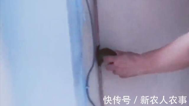 小女孩|山东一奶奶火了,小孙女贪玩屡教不改,一个神操作立刻解决