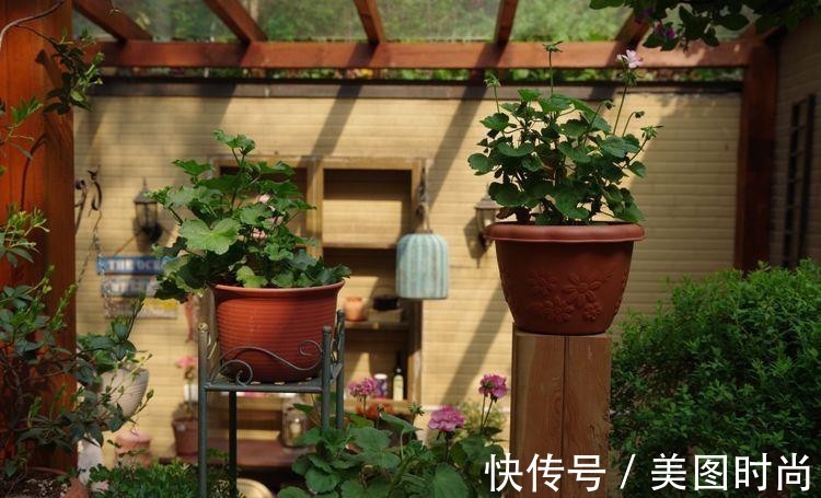 小院|荒废多年的80㎡小院,2年半时间打造成下沉式花园,太漂亮了!