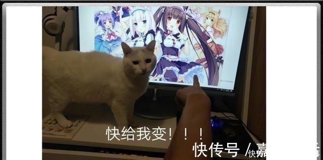 虫子|当虫子动漫拟人化,蜈蚣化身软妹子,蟑螂成为小萝莉