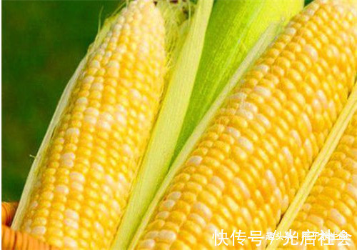 白刺果|冬天了，4种食物别放过，润肤养颜，抗衰老，肌肤更细嫩