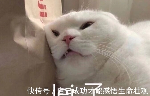 孕期|长点心吧!你以为孕期洗头是小事?孕妇洗头万不可掉以轻心的五点