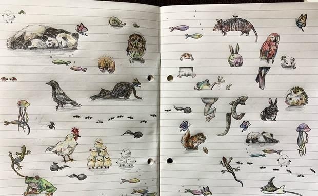 小青蛙|当本子遇到二次元插画师，爬上“栏杆”的小动物们实在太可爱了