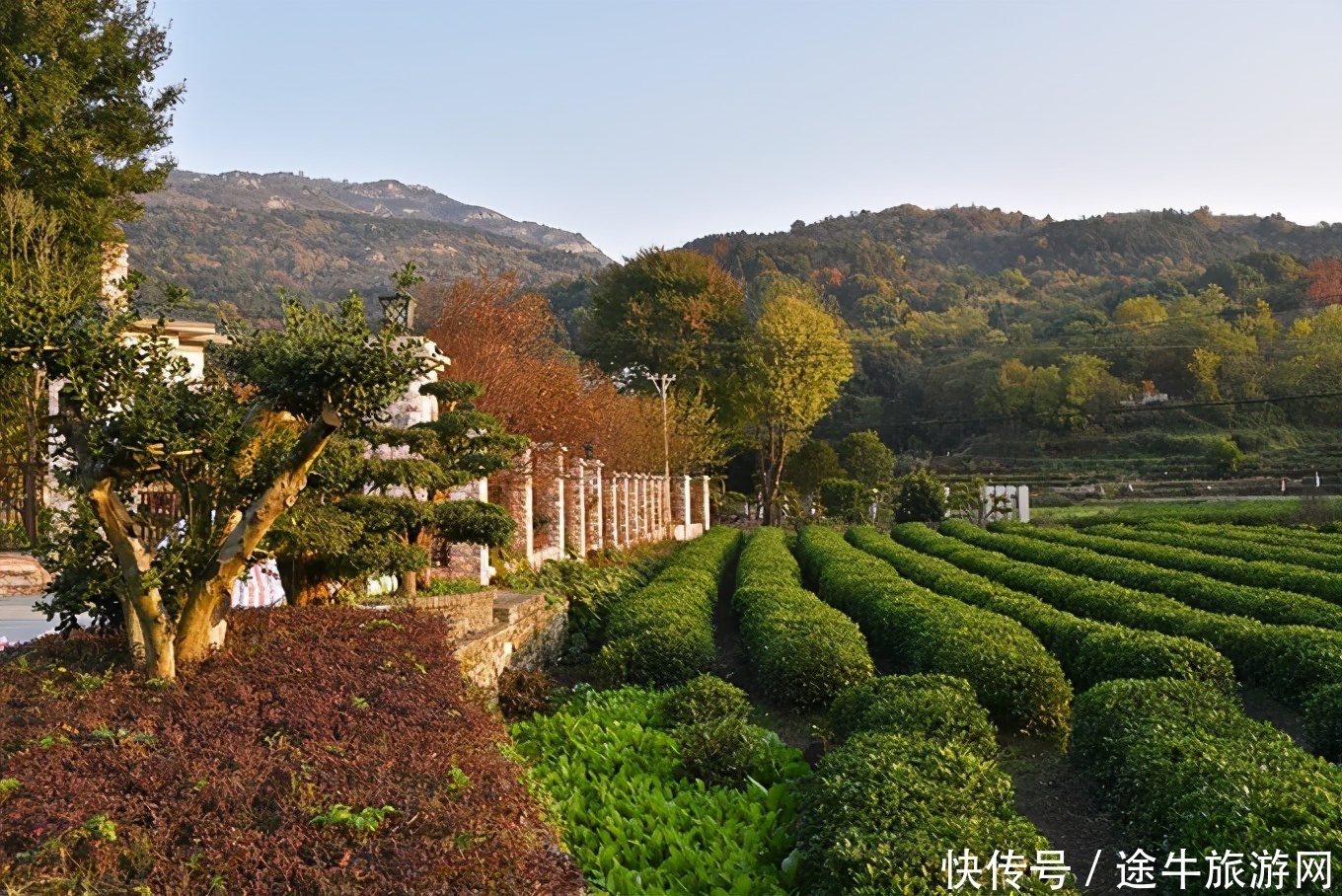 六百年历史，华中民宿第一村