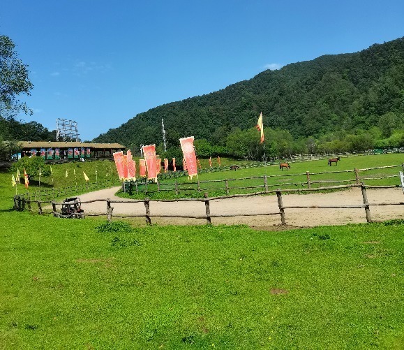 河流|山川，河流，古镇，草原，骏马，可野可甜的大水川，满屏皆是绿色