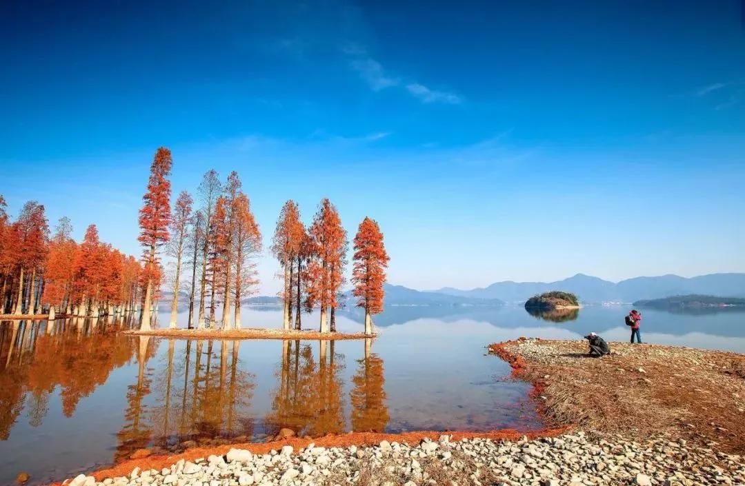 令人|浙江的秋天令人沉醉，以至于立了冬，还有许多人忘不了秋景