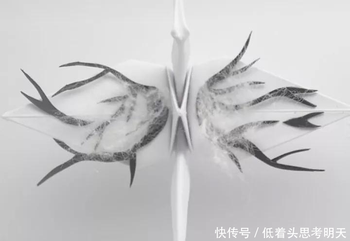  重样|每天折一只千纸鹤，他坚持了1000天不重样，女友被感动到梨花带雨
