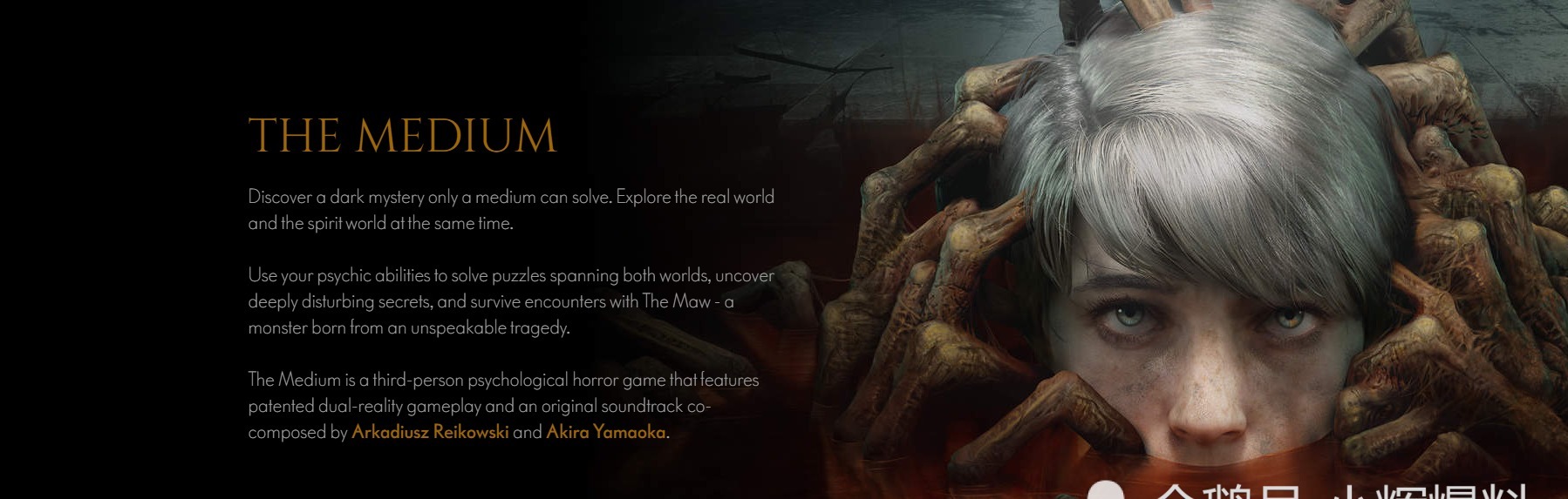 布莱尔女巫|因市场改变规则:《灵媒》跟随潮流实现跳票政策