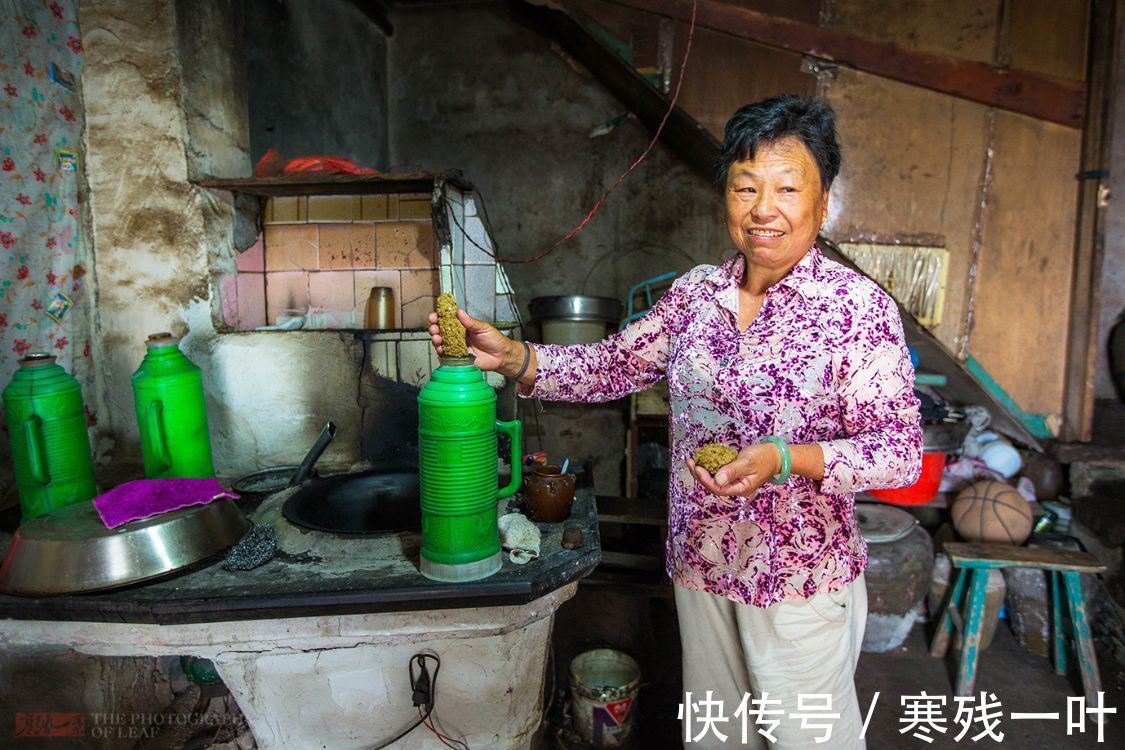 海礁石|浙江沿海有种美食“海燕窝”，过去1毛一斤现在卖500，有人说不贵