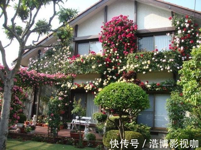 丽江发现一户人家院子，那叫一惊艳！太美了，拍照给大家看看