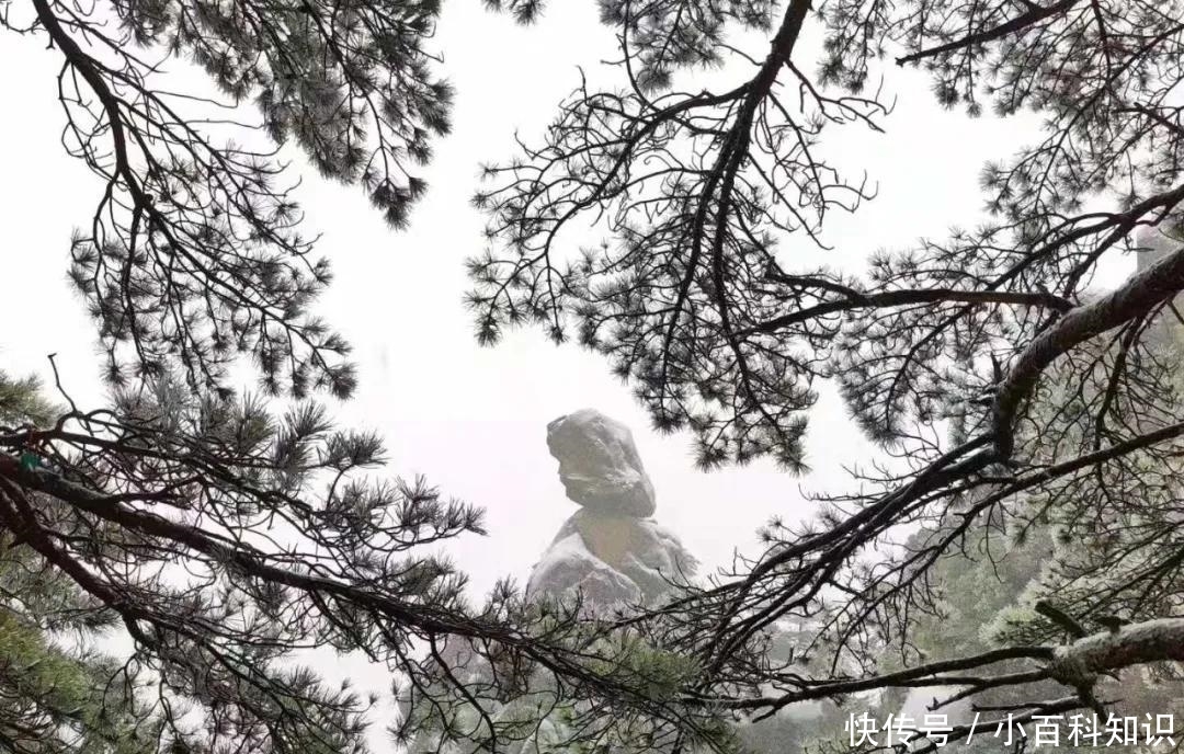 三清山|三清山下雪啦！组图带你一秒进入仙境