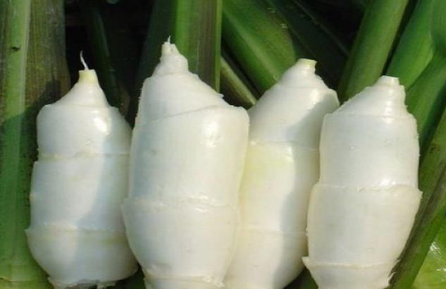 营养|?这种野菜长在河里,味道美味可口,营养非常丰富,推荐大家